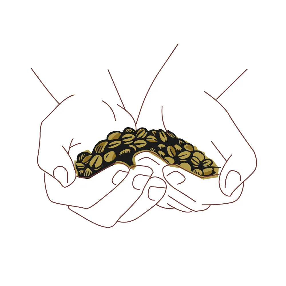 Contact Origin Bean - Reach out to discuss premium Ethiopian coffee sourcing and partnership opportunities