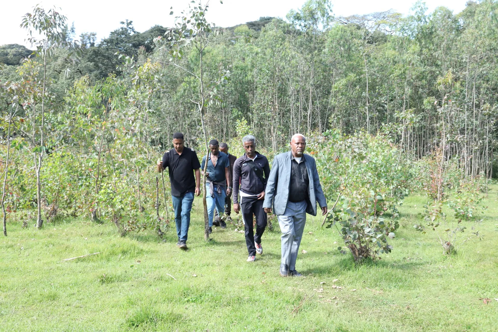 Guji Highlands Cooperative - Ethiopian coffee farmer from Guji Zone, Shakiso