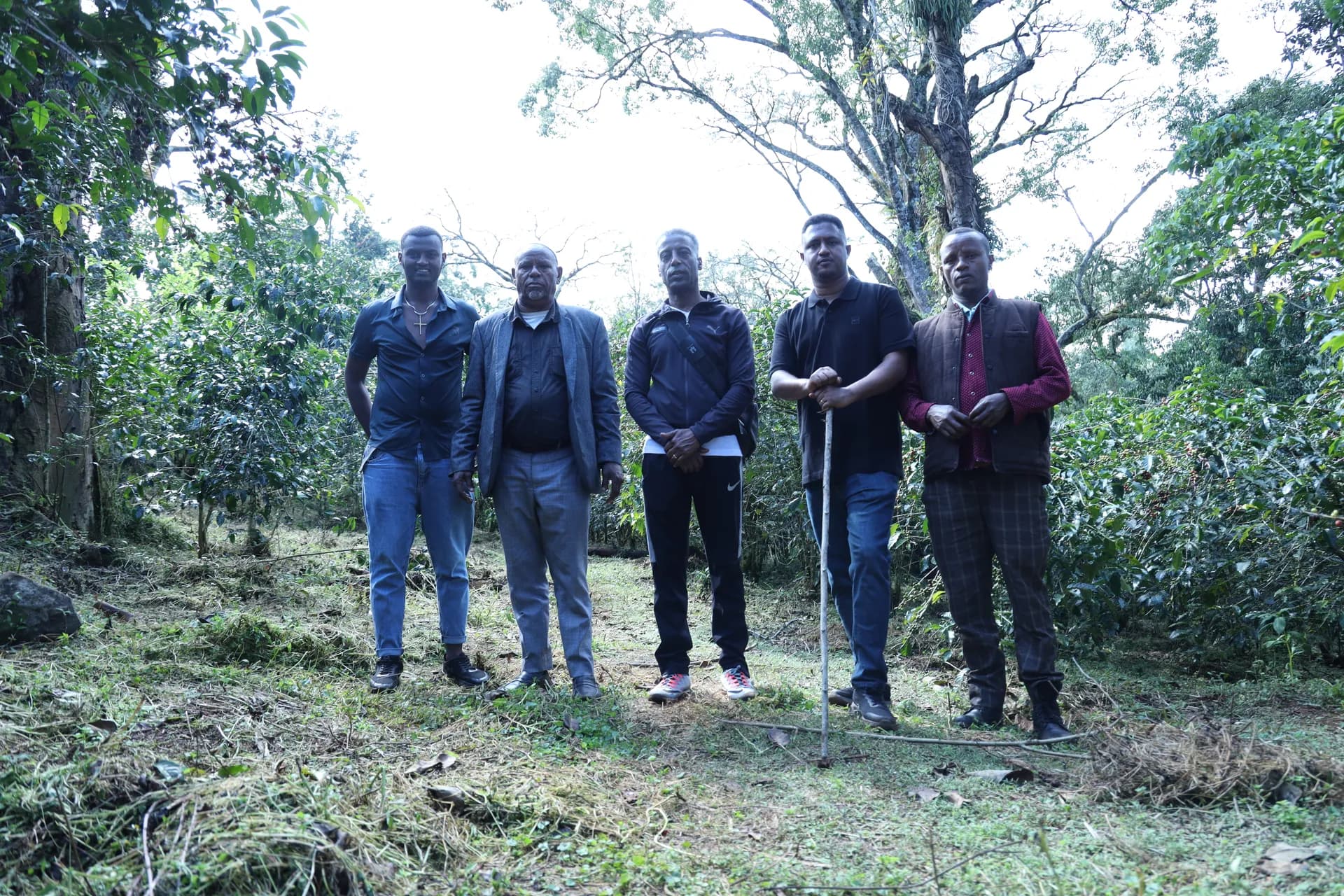 Harrar Coffee Collective - Ethiopian coffee farmer from Harar, Eastern Highlands